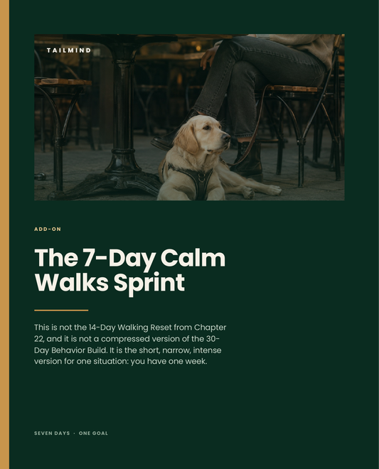 TailMind 7-Day Calm Walks Sprint digital add-on